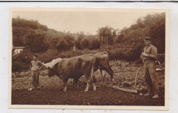 LANDWIRTSCHAFT - Ochsenpflug / Spanien - Escena Vasca - Cultures