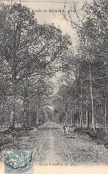 FRANCE - 78 - Forêt De Sénart - Route Forestière De Soisy - Carte Postale Ancienne - Andere & Zonder Classificatie