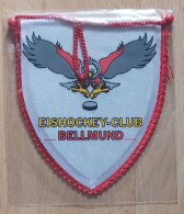 Eishockeyclub Bellmund Switzerland Ice Hockey PENNANT, SPORTS FLAG ZS 4/9 - Invierno