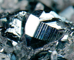 Mineral - Ematite, Pirite E Quarzo (Isola D'Elba, Livorno, Italia) - Lot. 1010 - Minéraux