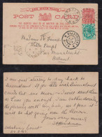 New South Wales Australia 1905 Uprated Stationery Postcard URALLA X MAASTRICHT Netherlands - Storia Postale