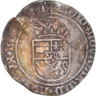 Monnaie, Pays-Bas Espagnols, Charles Quint, Patard, 1499, Dordrecht, TB+, Billon - …-1795 : Vereinigte Provinzen