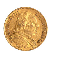 Louis XVIII-20 Francs 1814 Paris - 20 Francs (oro)