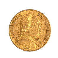 Louis XVIII-20 Francs 1814 Paris - 20 Francs (oro)