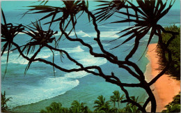 Hawaii Kauai Lauhala Tree On Bluff Overlooking Ke'e Beach - Kauai
