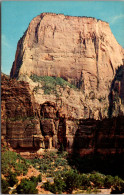 Utah Zion National Park The Great White Throne - Zion