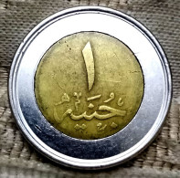 Error 1 Pound ( 2019 ) Of Solar Planet In Aswan , Unminted  Outer Disc , Gomaa - Egypt