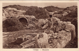 TIPASA. MOSOLEE - El-Oued