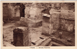 TIPASA. GRANDS THERMES - El-Oued