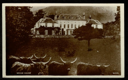 Ref 1605 -  Real Photo Postcard - Novar House & Highland Cattle Evanton Ross-shire Scotland - Ross & Cromarty