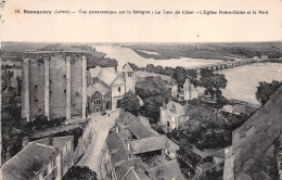 BEAUGENCY    VUE GENERALE - Beaugency