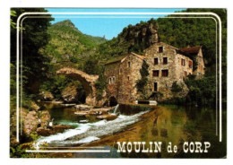 Moulin A Eau De Corp Dans Les Gorges De La Dourbie Editions BOS - Moulins à Eau