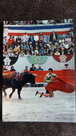 CPM CORRIDA DE TOROS PASSE DE MULETA A GENOUX DE FRANCISCO PAQUIRRI ED DE FRANCE CLICHE ROBERT BOYMOND - Taureaux