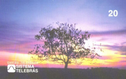 Brazil:Brasil:Used Phonecard, Sistema Telebras, 20 Units, Tree At Sunset, 1998 - Brasilien