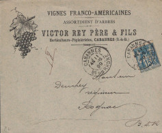 SAGE - N°101 - CABANNES - BOUCHES DU RHONE - ENTETE VIGNES FRANCO-AMERICAINES VICTOR REY PERE ET FILS HORTICULTEURS PEPI - 1877-1920: Periodo Semi Moderno