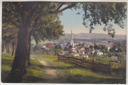 C6673) BAD HALL - OÖ - Wegansicht Mit Blick Auf Kirche U. Häuser - Zaun - Bäume ALT 1916 - Bad Hall