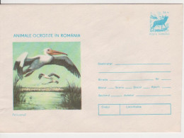 BIRD BIRDS PELICANS ROMANIA POSTAL STATIONERY - Pélicans