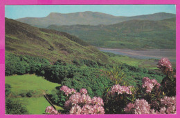 289828 / United Kingdom - Barmouth - The Mawddach Estuary Landscape Flowers PC 25101 Great Britain Grande-Bretagne - Merionethshire