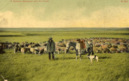 MONTANA WESTERN SHEPHERD AND HIS FLOCK BERGER MOUTONS CHEVAL - Sonstige & Ohne Zuordnung