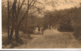 ORROIR MONT DE L'ENCLUS  - ROUTE VERS LA TOUR     2 SCANS - Kluisbergen