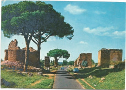 AC6467 Roma - Via Appia Antica - Auto Cars Voitures / Viaggiata 1967 - Mehransichten, Panoramakarten