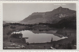 LAUENEN. Lac De LAUENENSEE - Lauenen