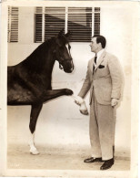 CINEMA-PHOTO-WALTER  PIDGEON-(MISTER ED) - Autres Formats