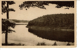 EUPEN   BARRAGE DE LA VESDRE  Le Lac  Un Coin Pittoresque - Verviers