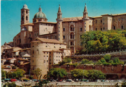 CARTOLINA  URBINO,MARCHE-PANORAMA-STORIA,MEMORIA,CULTURA,RELIGIONE,IMPERO ROMANO,BELLA ITALIA,NON VIAGGIATA - Urbino