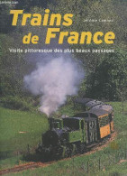 Trains De France - Visite Pittoresque Des Plus Beaux Paysages. - Camand Jérôme - 2008 - Chemin De Fer & Tramway