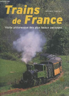 Trains De France - Visite Pittoresque Des Plus Beaux Paysages. - Camand Jérôme - 2008 - Ferrocarril & Tranvías