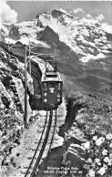 SUISSE - Schynige Platte Bahn Und-die - Jungfrau - Carte Postale Ancienne - Au