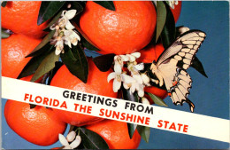 Greetings From Florida The Sunshine State With Oranges Split View - Souvenir De...