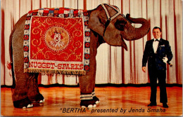 Nevada Sparks East Reno John Ascuaga's Nugget "Little Bertha" Performing Elephant - Reno