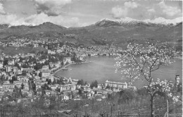 SUISSE - Lugano - Paradiso - Panorama - Carte Postale Ancienne - Lugano