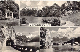 SUISSE - Vierwaldstattersee - Carte Postale Ancienne - Wald