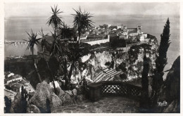 CARTE POSTALE ANCIENNE,MONACO,MONTE CARLO - Monte-Carlo