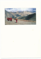 CPSM / CPM 10.5 X 15 Népal (2)   Bouddhistes En Chemin Vers Muktinath - Népal