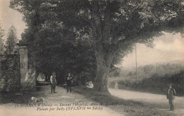 St Amour * Allée Des Tilleuls Plantés Par Sully , Devant L'hôpital * Villageois - Andere & Zonder Classificatie