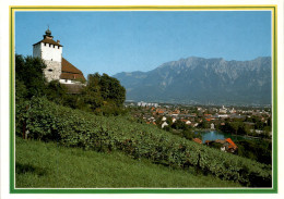 Schloss Werdenberg Mit Buchs Und Drei Schwestern (41327) - Buchs