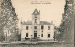 Orvault * Château Du Bois Raguenet * Châteaux De La Loire Inférieure N°126 - Orvault