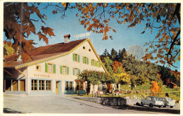 SUISSE - Café Restaurant De La Croix Fédérale Mauborget Sur Grandson - Carte Postale Ancienne - Grandson