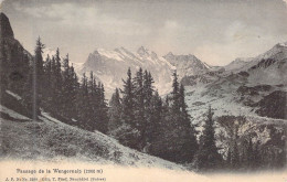 SUISSE - Passage De La Wengernalp - Edit T Pfaff - Carte Postale Ancienne - Enge