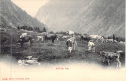 SUISSE - Auf Der Alp - Edition Photoglob - Carte Postale Ancienne - Otros & Sin Clasificación