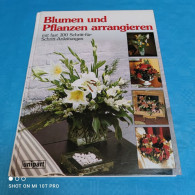 Blumen Und Pflanzen Arrangieren - Botanik