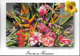 Ile De La Réunion - Saint Paul
