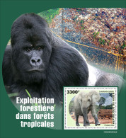 Niger  2022 Rainforest Logging. Gorilla. (303b2) OFFICIAL ISSUE - Gorilla