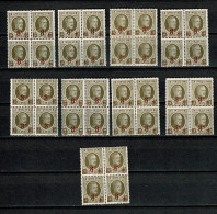 1927 245** 9 X 4erblocs: Zegels Met Opdruk/timbres Surchargés - 1922-1927 Houyoux