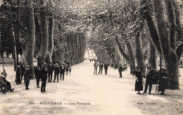 Perpignan * Allée Cours , Les Platanes * Promeneurs - Perpignan