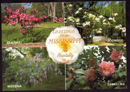 AK 126190 USA - Mississippi - Andere & Zonder Classificatie